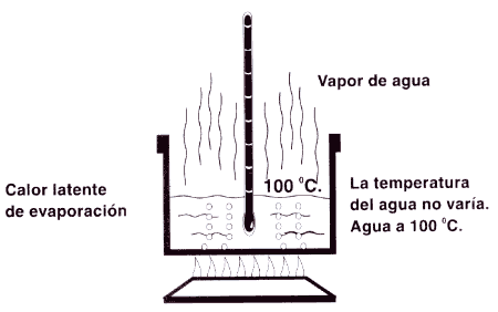 vapo_1.gif